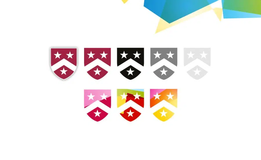 The Chafford School logo designs