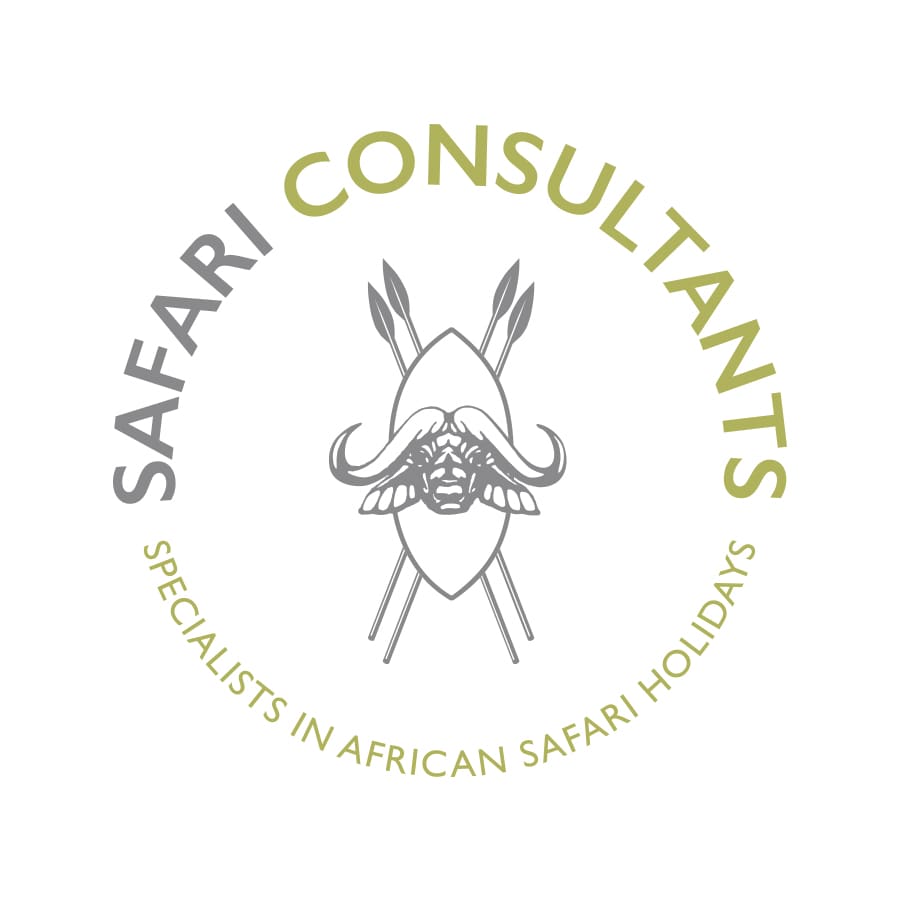 Safari Consultants - Branding & Identity Refresh - Mackman