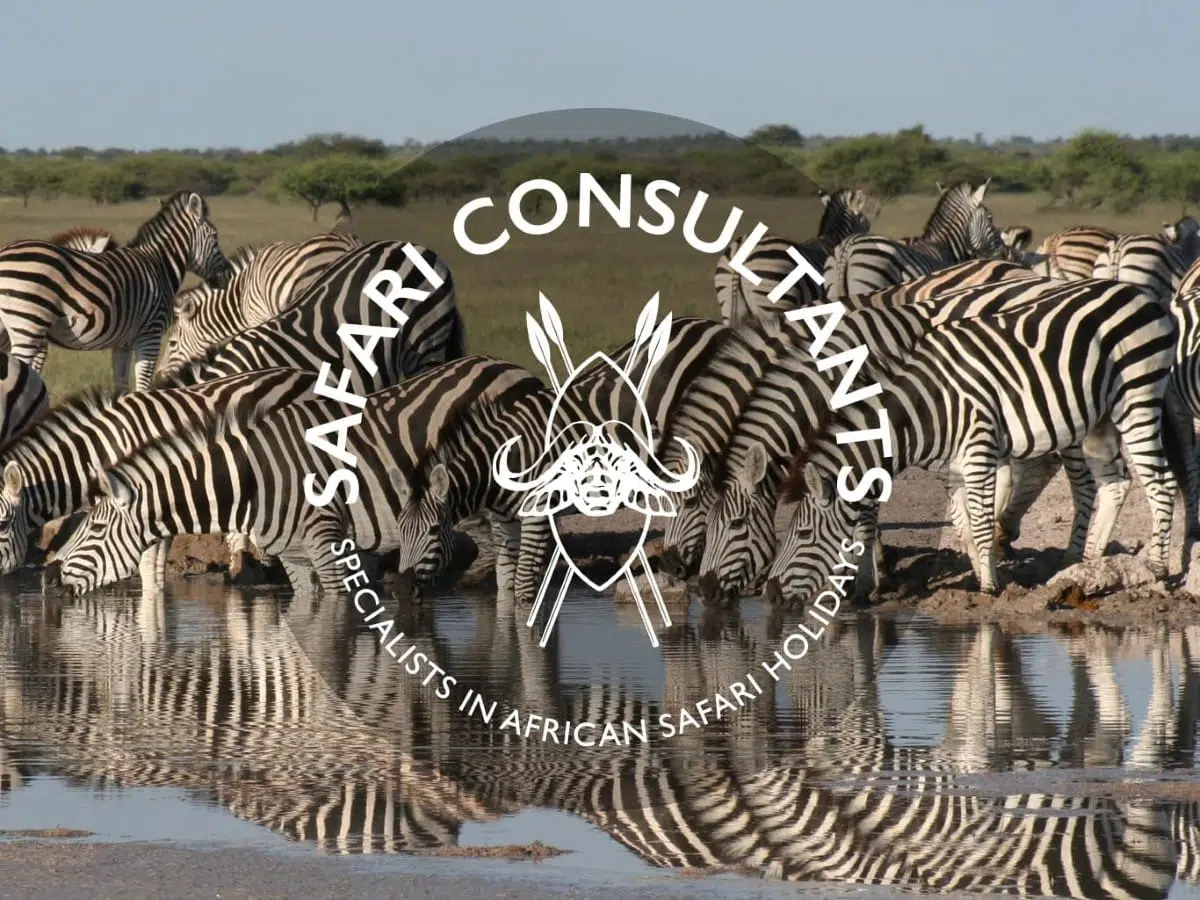 Safari Consultants