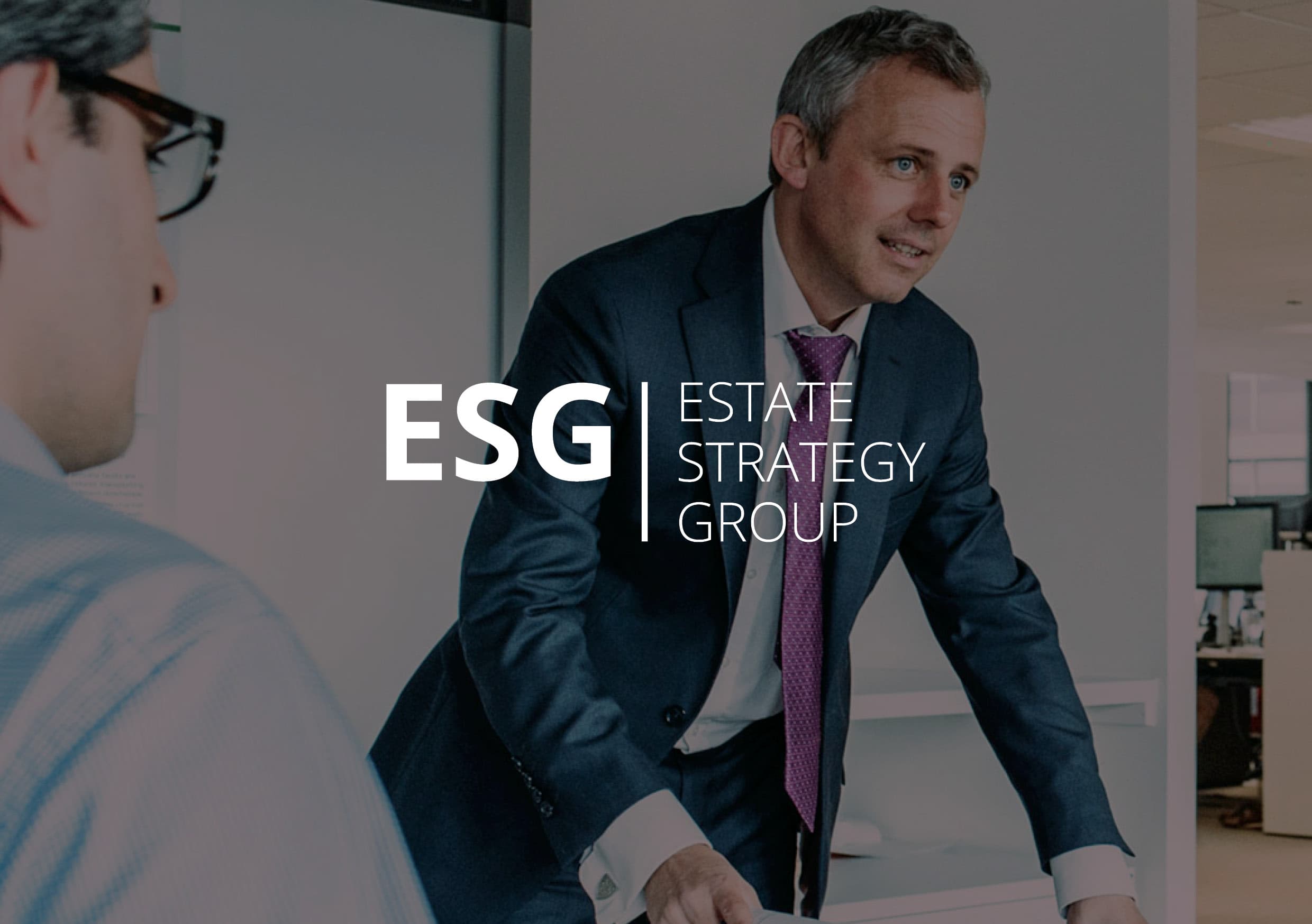 ESTATE STRATEGY GROUP (ESG)