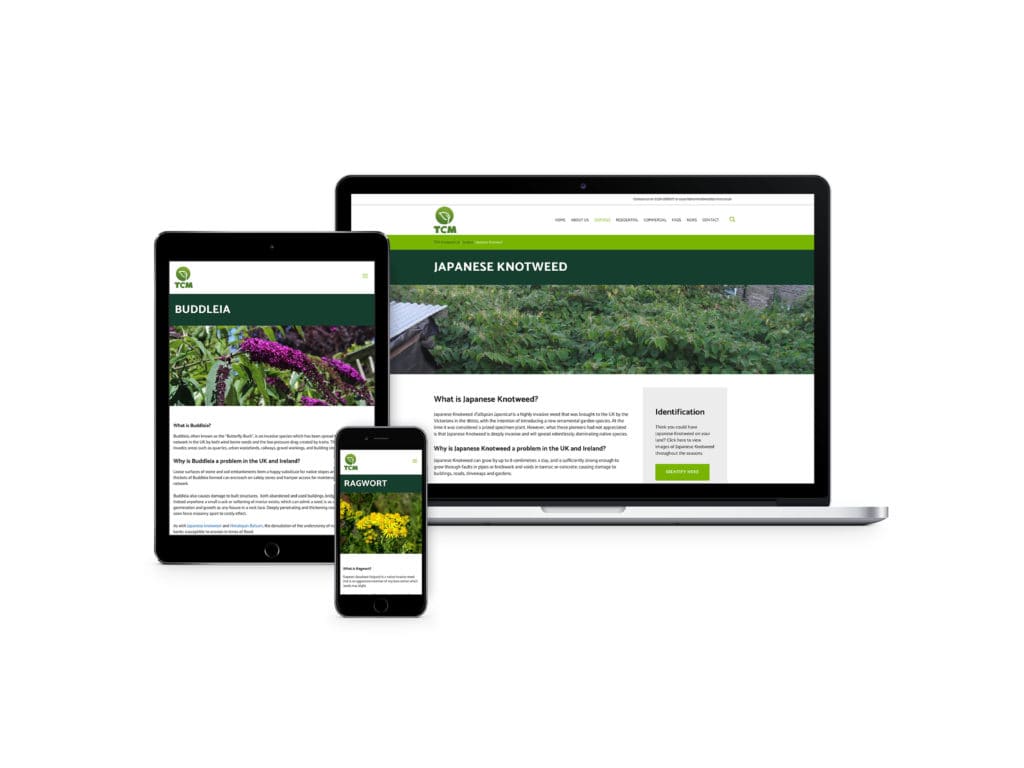TCM - Website redesign and build - Mackman