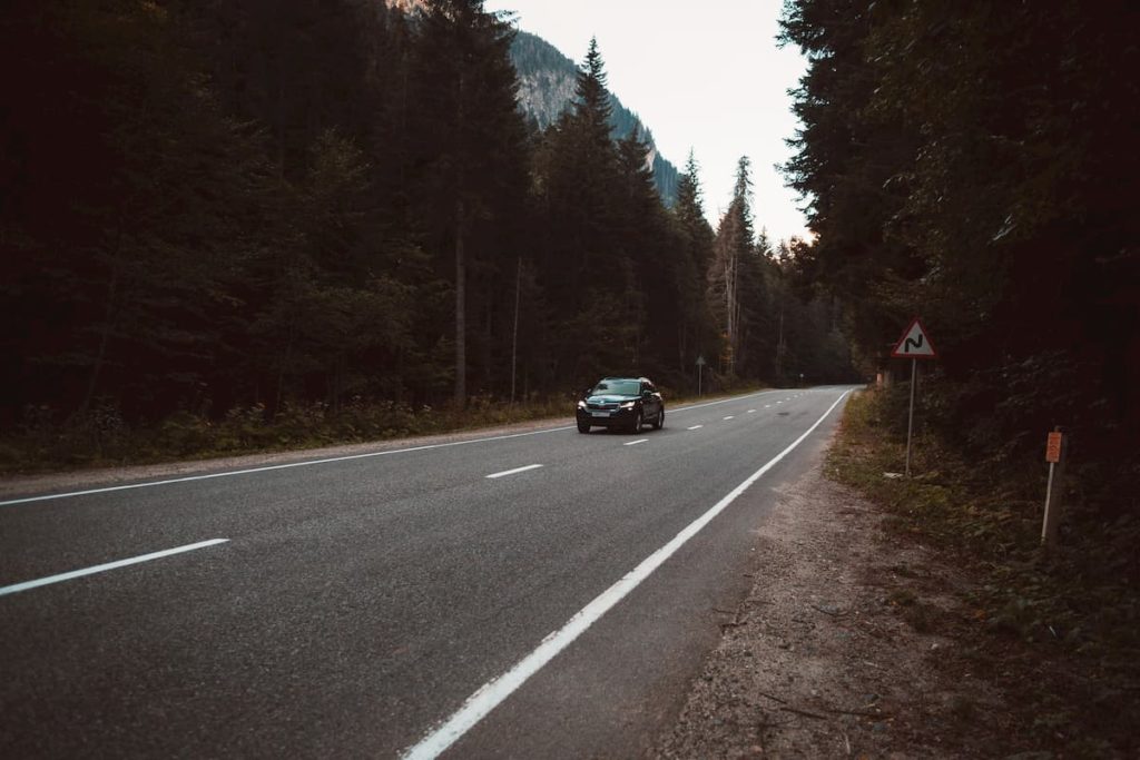 Car travelling down a road with pine trees either side