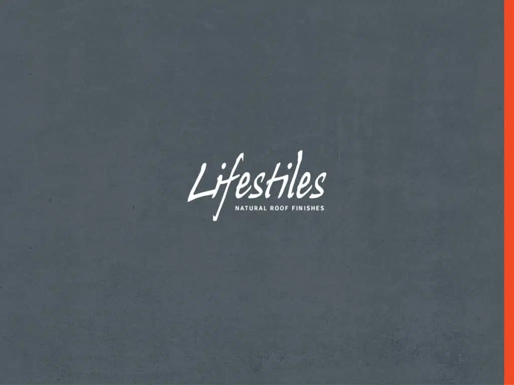 Lifestiles grey logo designed by Mackman