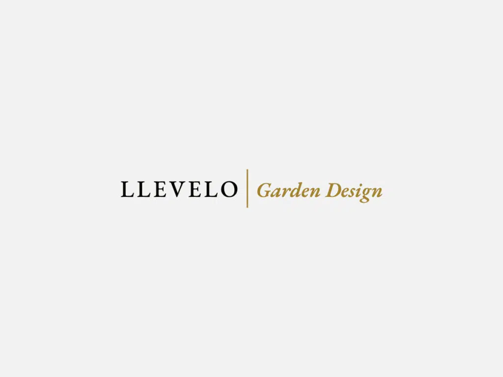 Llevelo Case Study - Primary Logo Design