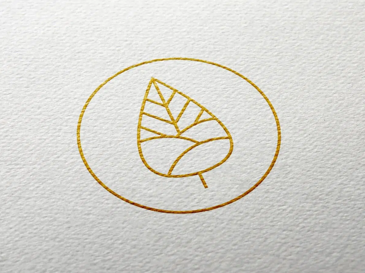 Llevelo Logo Design