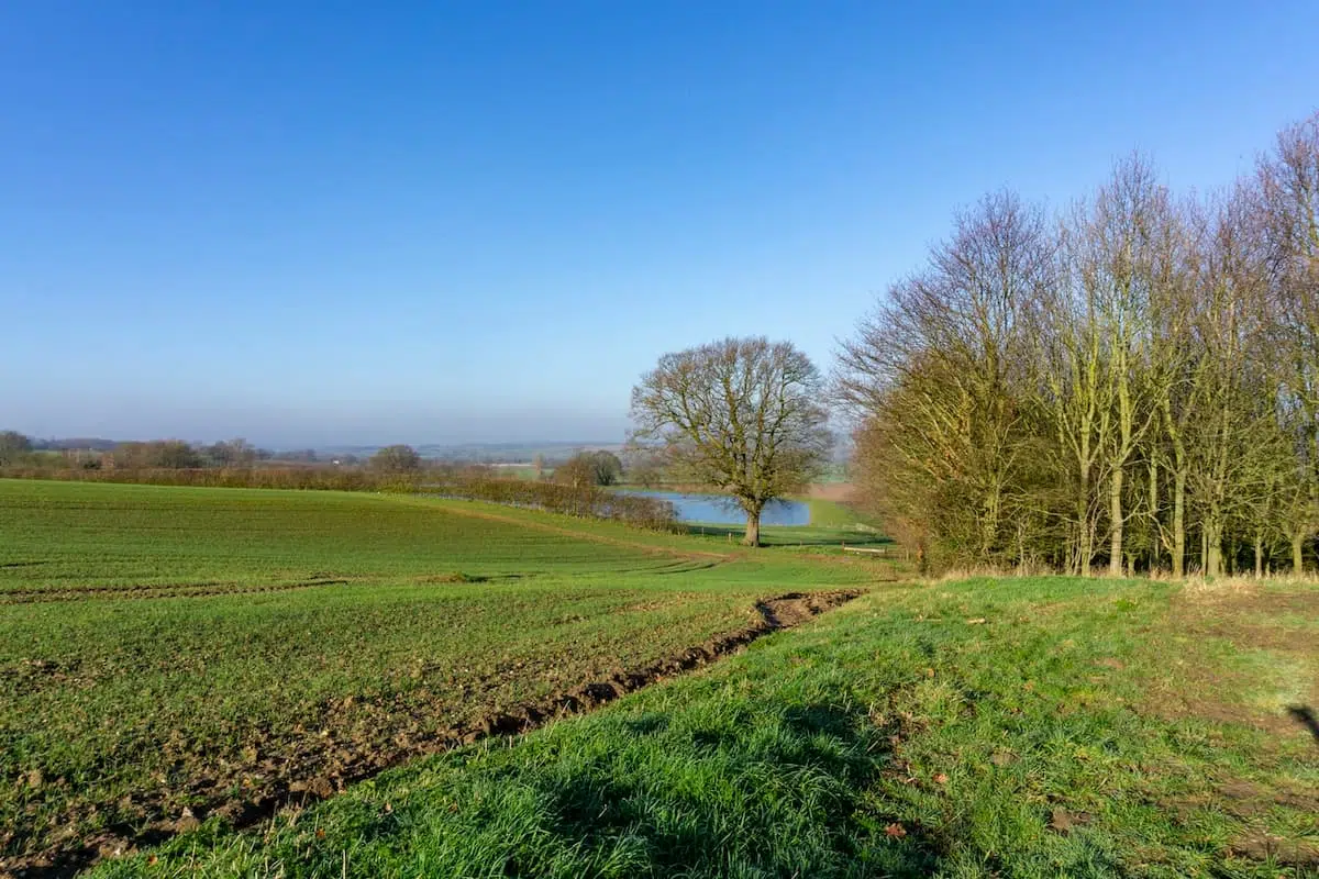 Photograph of a field in Stoke By Nayland