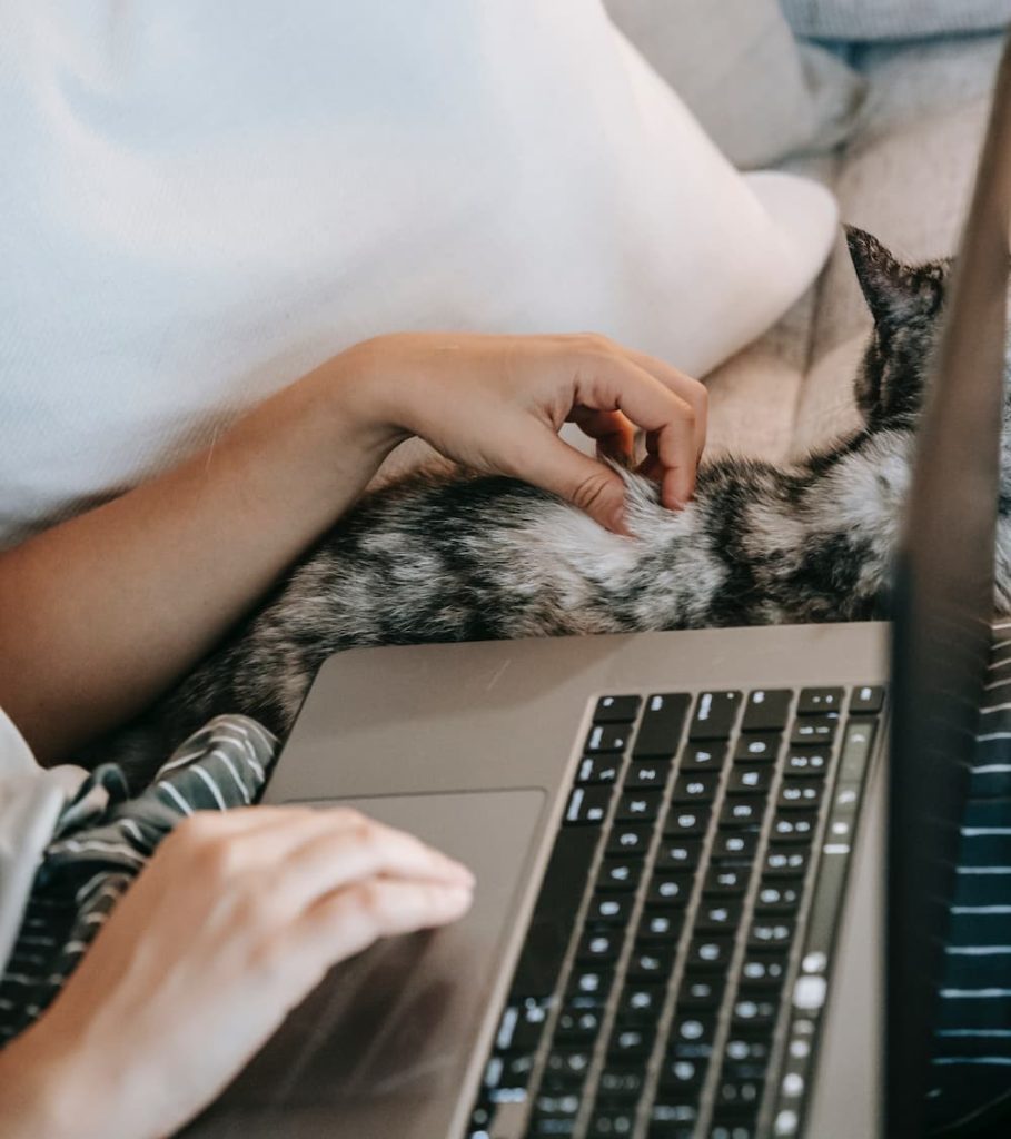 A person working on laptop with cat
