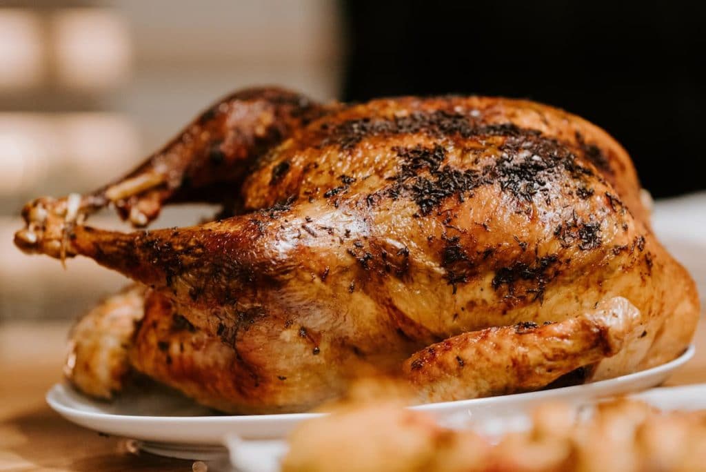 Cooked turkey on white dish