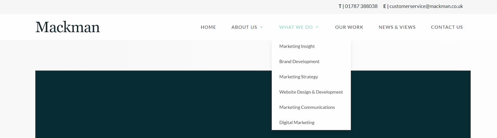 Website Menu