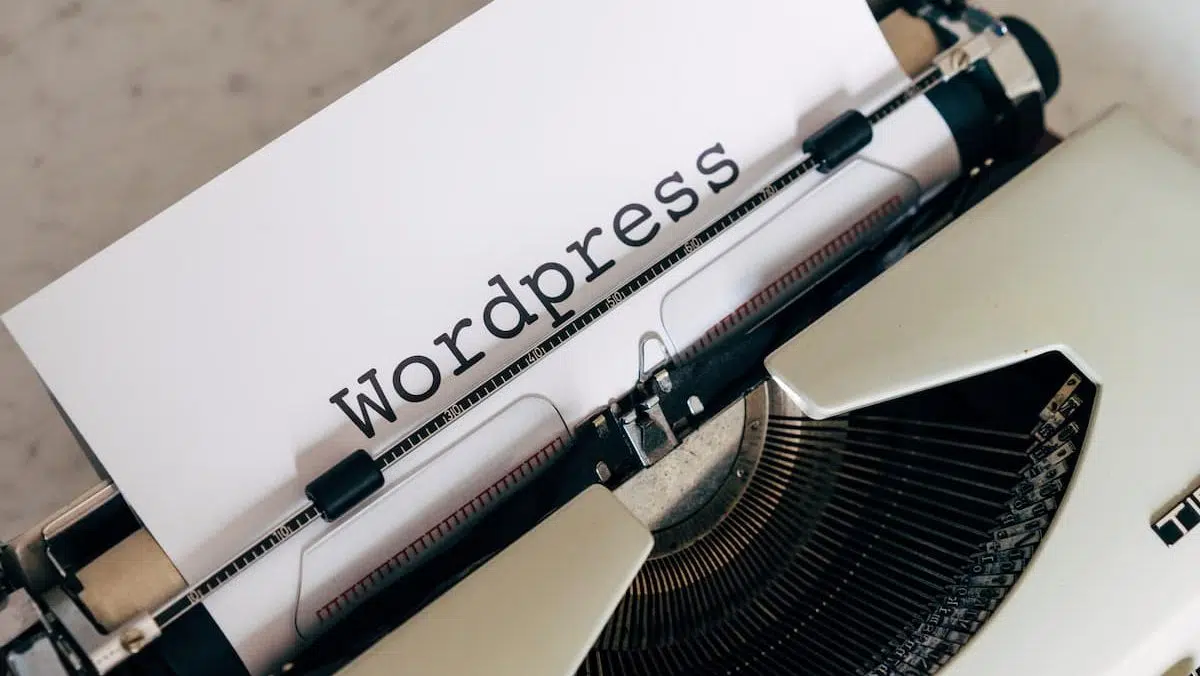Why use WordPress | Mackman Branding and Marketing Agency