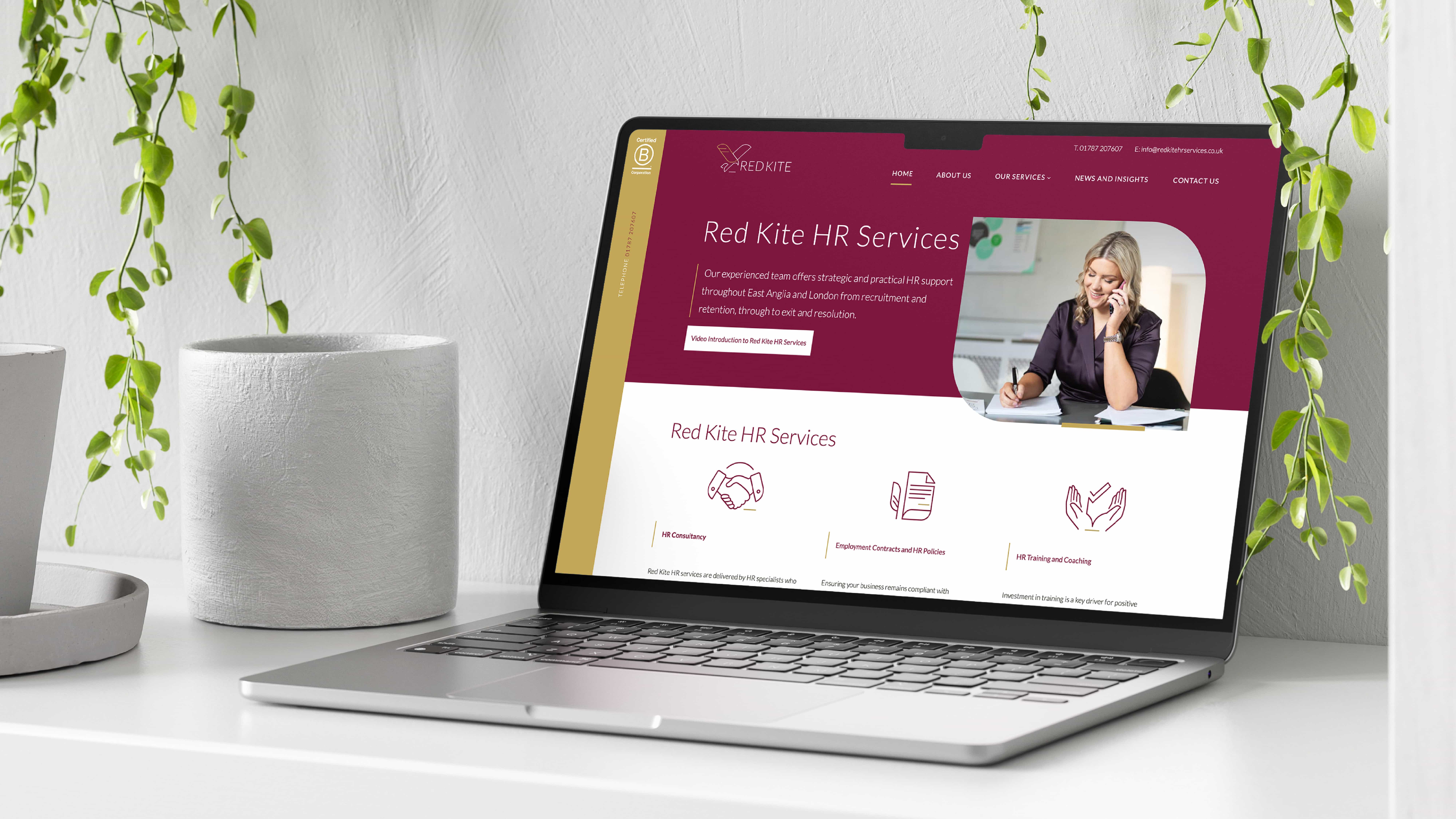 Red Kite HR Services Case Study Visuals10