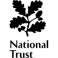 Home - Branding & Marketing Agency 15 NT Logo1